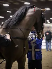 50f090701569597a68bf211e8775a70878275fbfa8fc8005a1e3c59b3cff37ef_1_IzAwMDgwMF8xMDA=.JPG