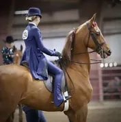 5b14e7ad0455dc1e34e024f26b938e12690d8ef7b5f06c2a7e69dc27529de632_1_IzAwMDgwMF8xMDA=.JPG