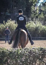 25c34a5bc660d1c613b0246e5a262efd796fa408750590d0e775f73ac27eadb1_1_IzAwMDgwMF8xMDA=.jpg