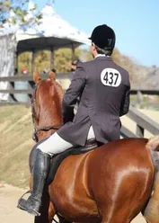 3e33fcaf1c84c48e8b7ac4227ba7f3cfaf463910bcdd0c10f7b0eee8aa7a26c1_1_IzAwMDgwMF8xMDA=.jpg