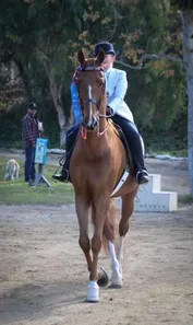 e7e222ed097afbba86c2d5ef86f125d98e6ef4f5122ed04d98cb97be57dc47c9_1_IzAwMDgwMF8xMDA=.jpg