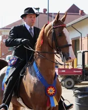 44d5ca2b27870caca63ffa86dbfef63acc6efaec36931a9efa996986d52df51c.jpg