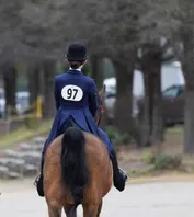 e371a11964d1b8dbd2db6275a14991c77383859dbec319fefa498e63a0d72b0b_1_IzAwMDgwMF8xMDA=.JPG