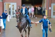 2d7360170c9cb69edbb8d0a7ac5b0063fc70900d714581bad31f986071fa9de9.jpg