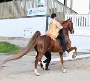099c78ab799d63736361007eae3a73c75829f41ed17974ebadb6c599461b6dd4.jpg